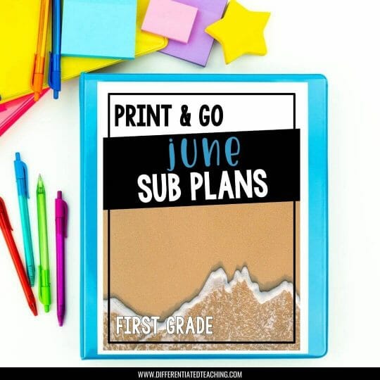 How to Enjoy Your Summer Vacation for Teachers - Differentiated Teaching